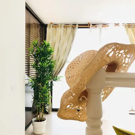 Diki: La Casa Marina De Plata