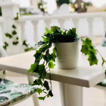 Apartment Diki: La Casa Marina De Plata Playa de las Americas (Tenerife)