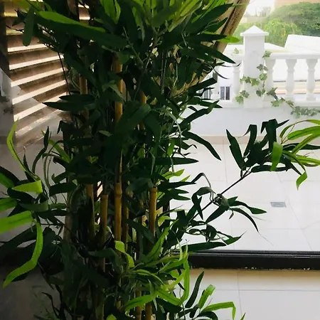 Diki: La Casa Marina De Plata *